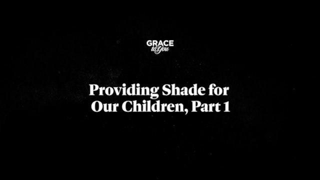 Providing Shade For Our Children - Part 1