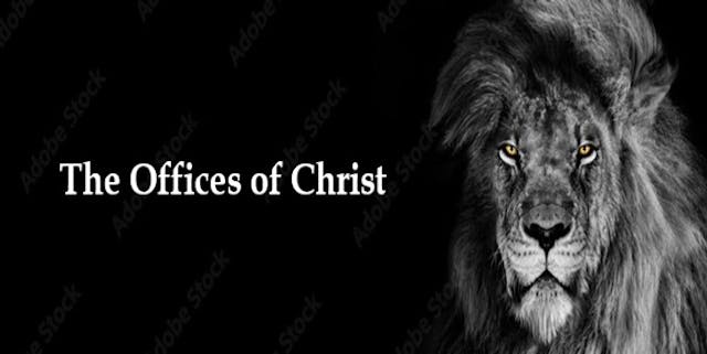Lesson 15 - Christ as Elder