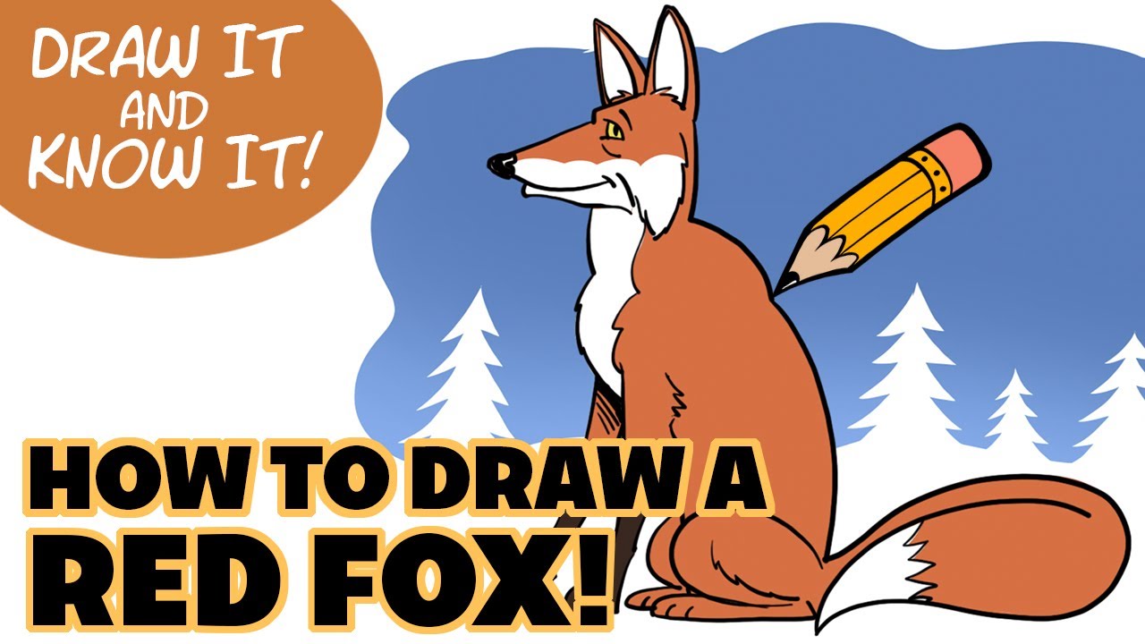 Draw It And Know It - Art Lesson Edition - How To Draw A Red Fox
