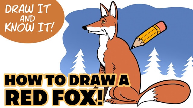 Draw It And Know It - Art Lesson Edition - How To Draw A Red Fox