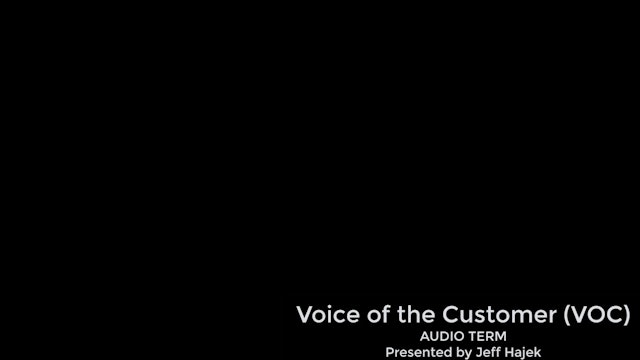 Voice of the Customer / VOC (AUDIO TERM)