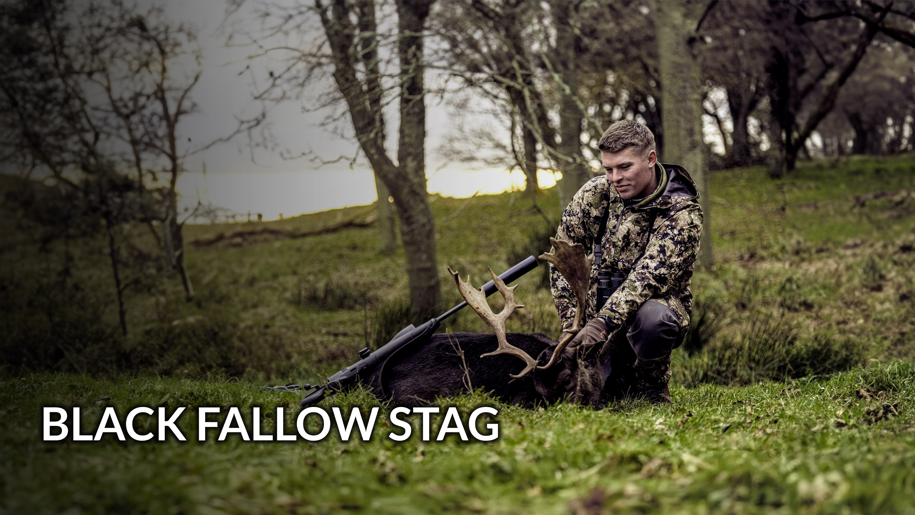 Gub: The Hunt | Black Fallow Stag