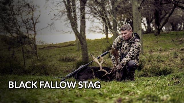 Gub: The Hunt | Black Fallow Stag