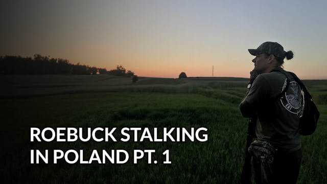 Roebuck Stalking In Poland pt. 1
