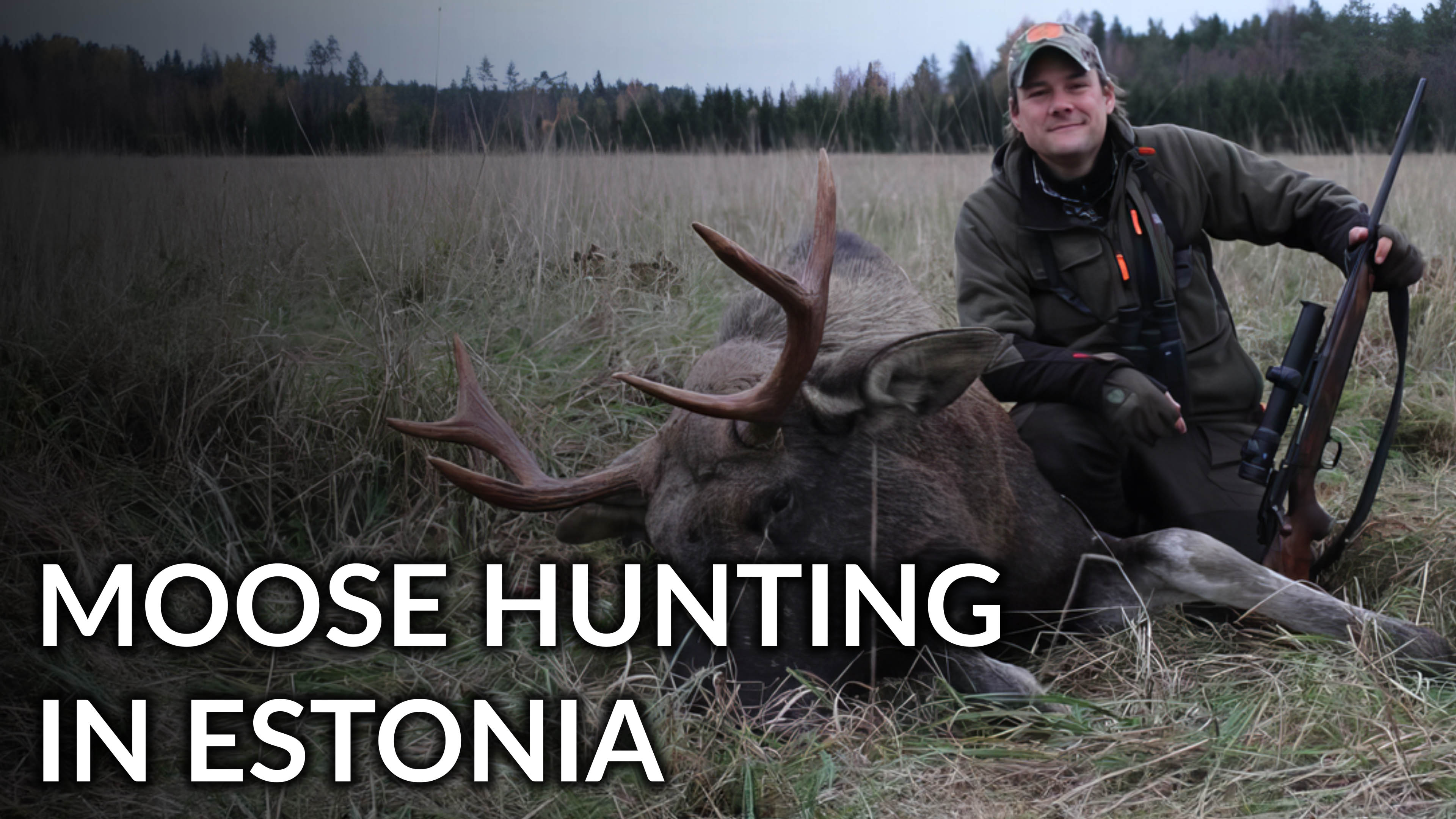 Moose Hunting In Estonia