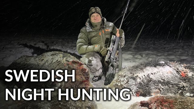 Swedish Night Hunting