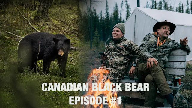 Canadian Black Bear Episode #1 - Gub ...