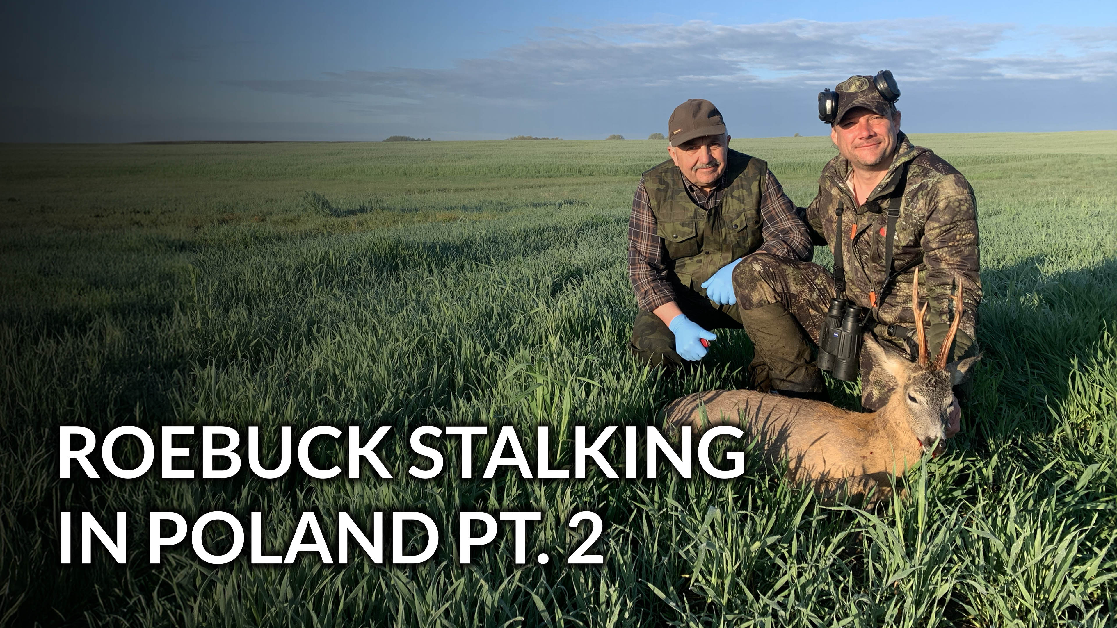 Roebuck Stalking In  Poland Pt. 2