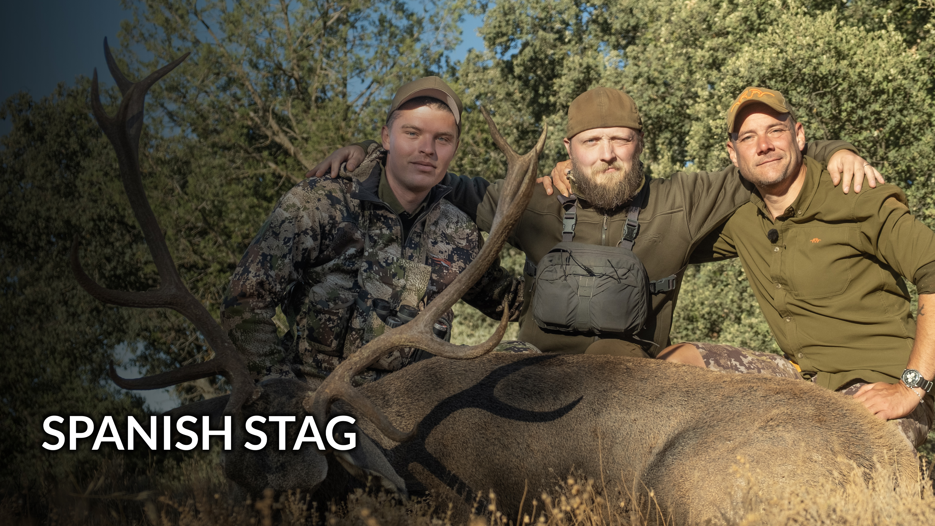 Gub: The Hunt | Spanish Stag