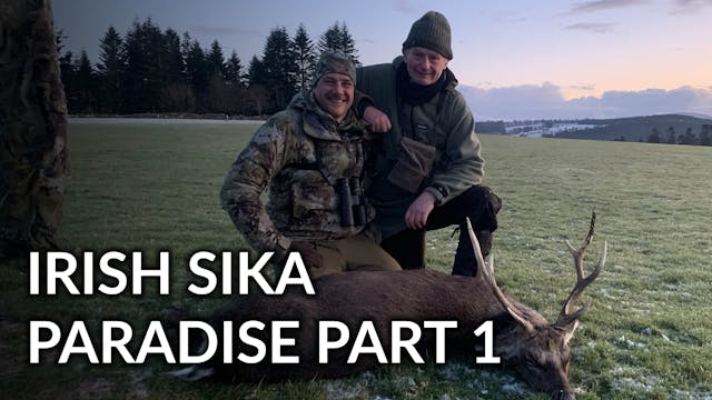 Irish Sika Paradise Part#1