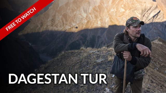 Dagestan Tur Hunting In Azerbaijan