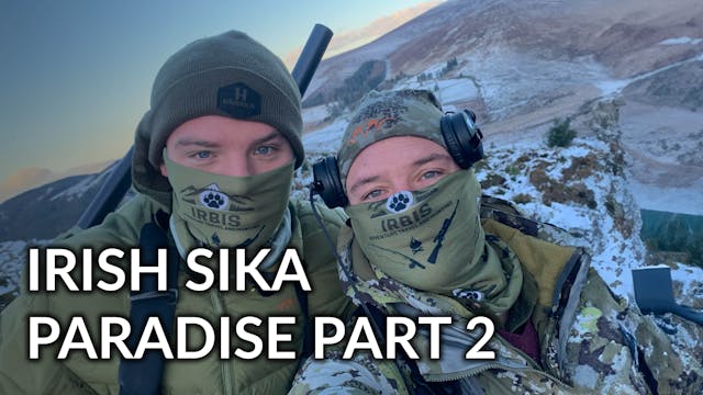 Irish Sika Paradise Part#2