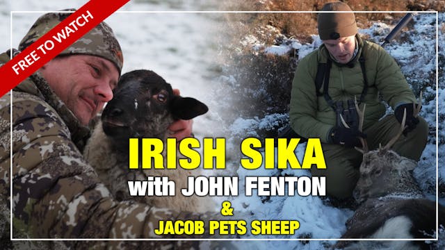 Venari Podcast: Irish Sika w. John Fe...