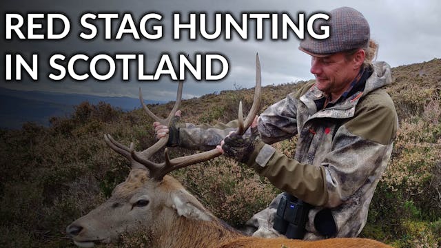 Stag Hunting In Scotland