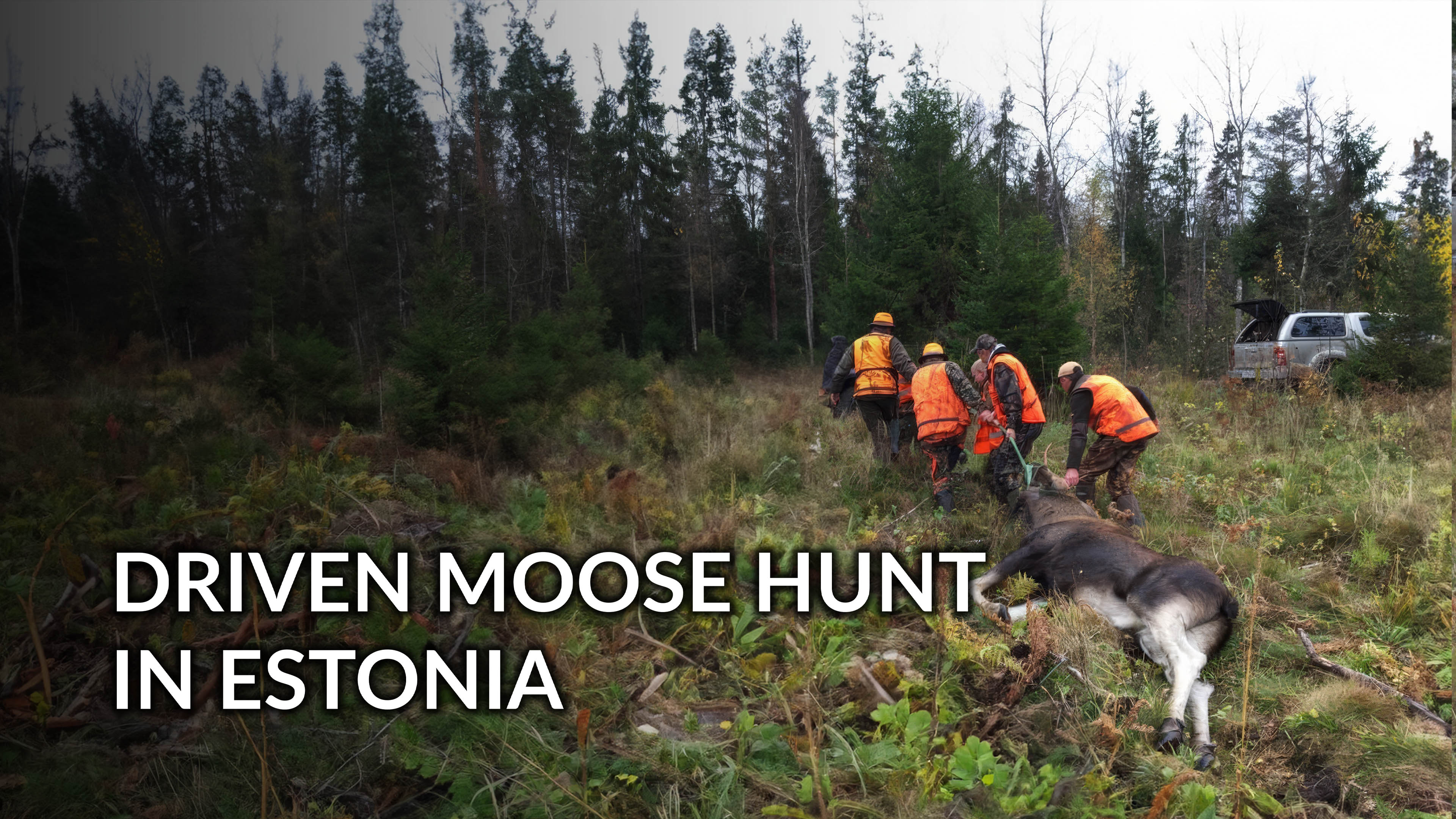 Driven Moose Hunting In Estonia Pt. 2