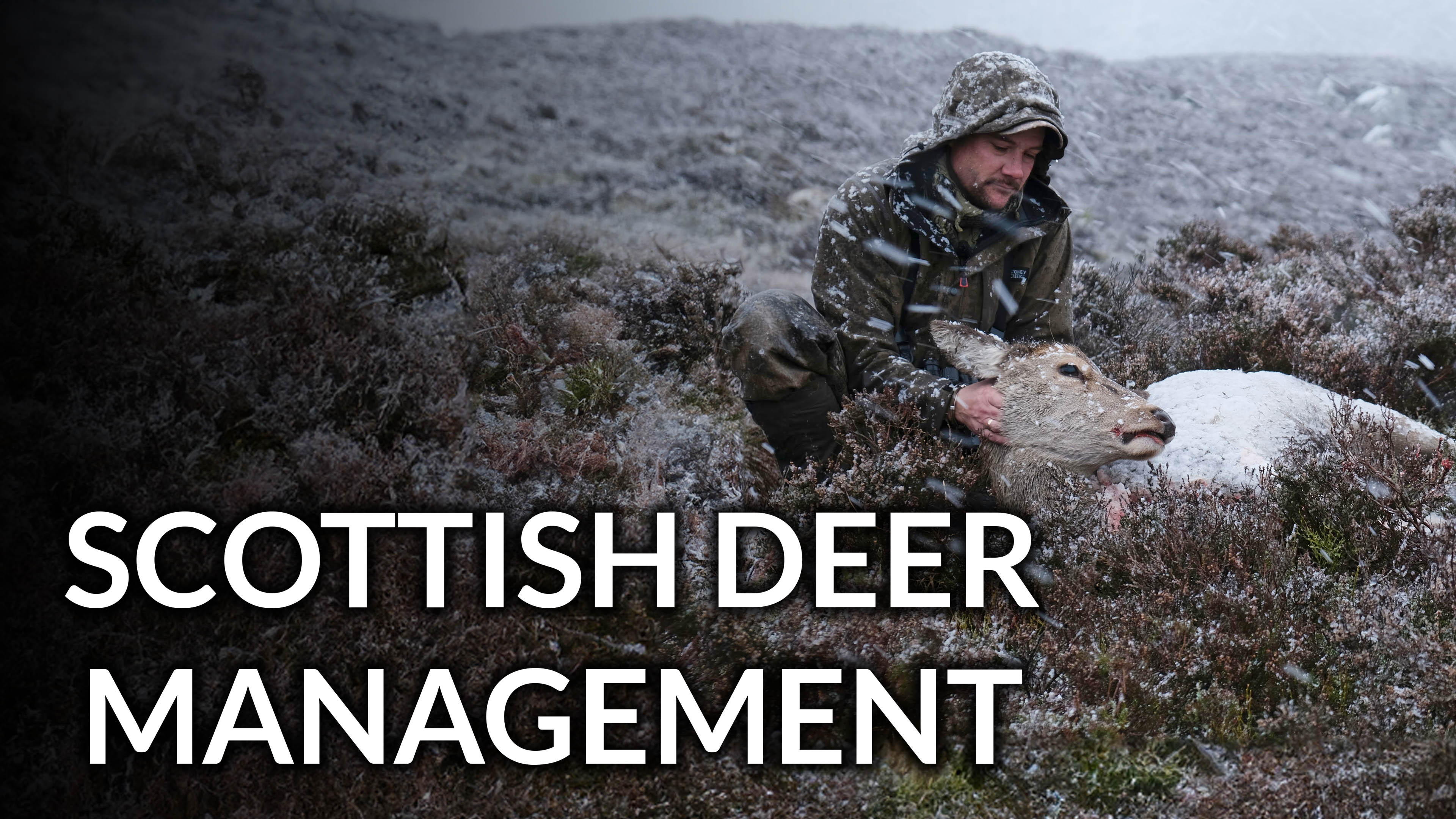 Scottish Deer Management