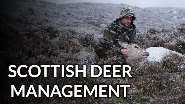 Scottish Deer Management