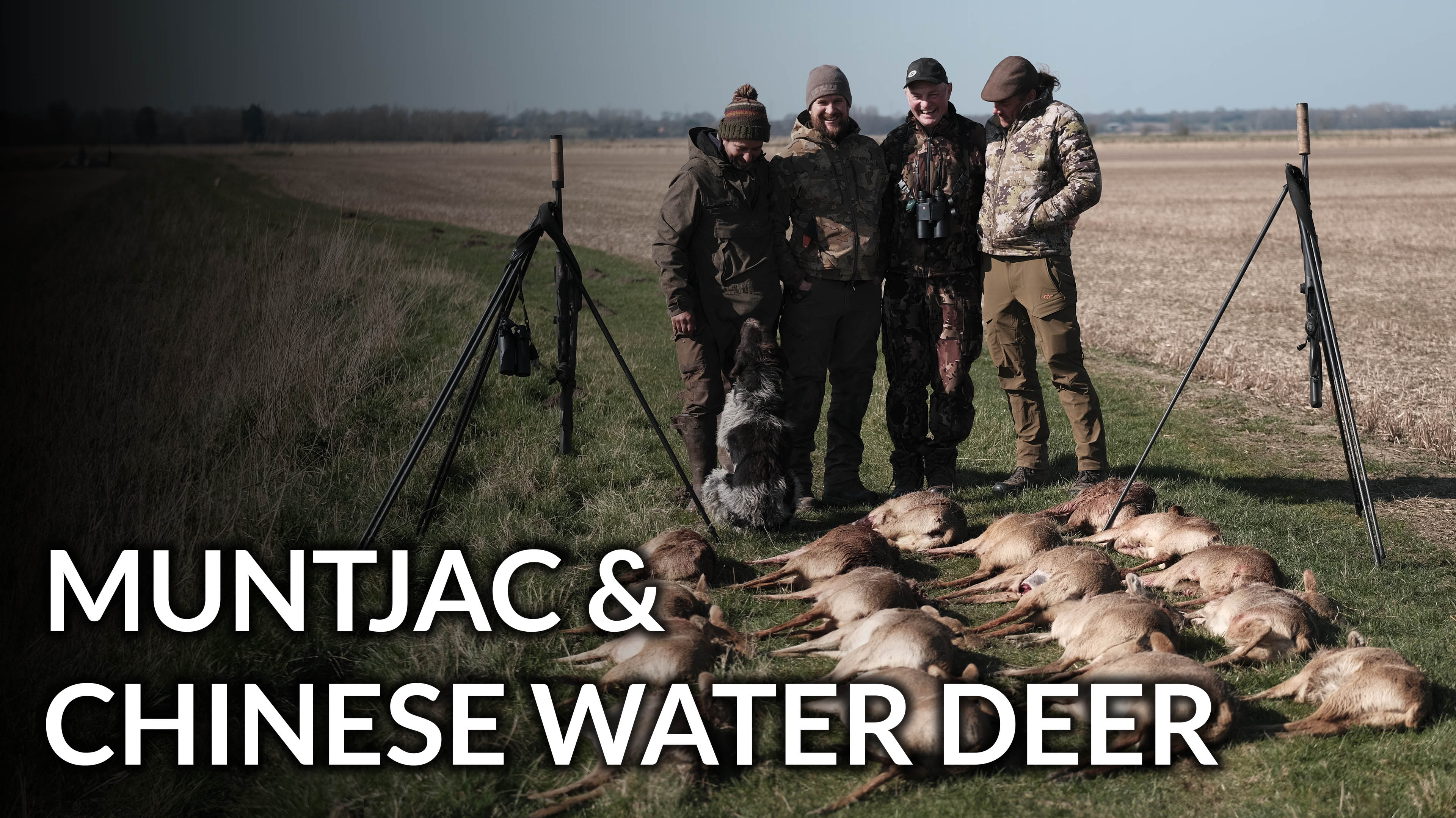 English Muntjac and Chinese Water Deer