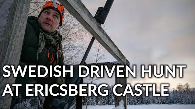  ⁠Swedish Driven Hunt At Ericsberg Ca...