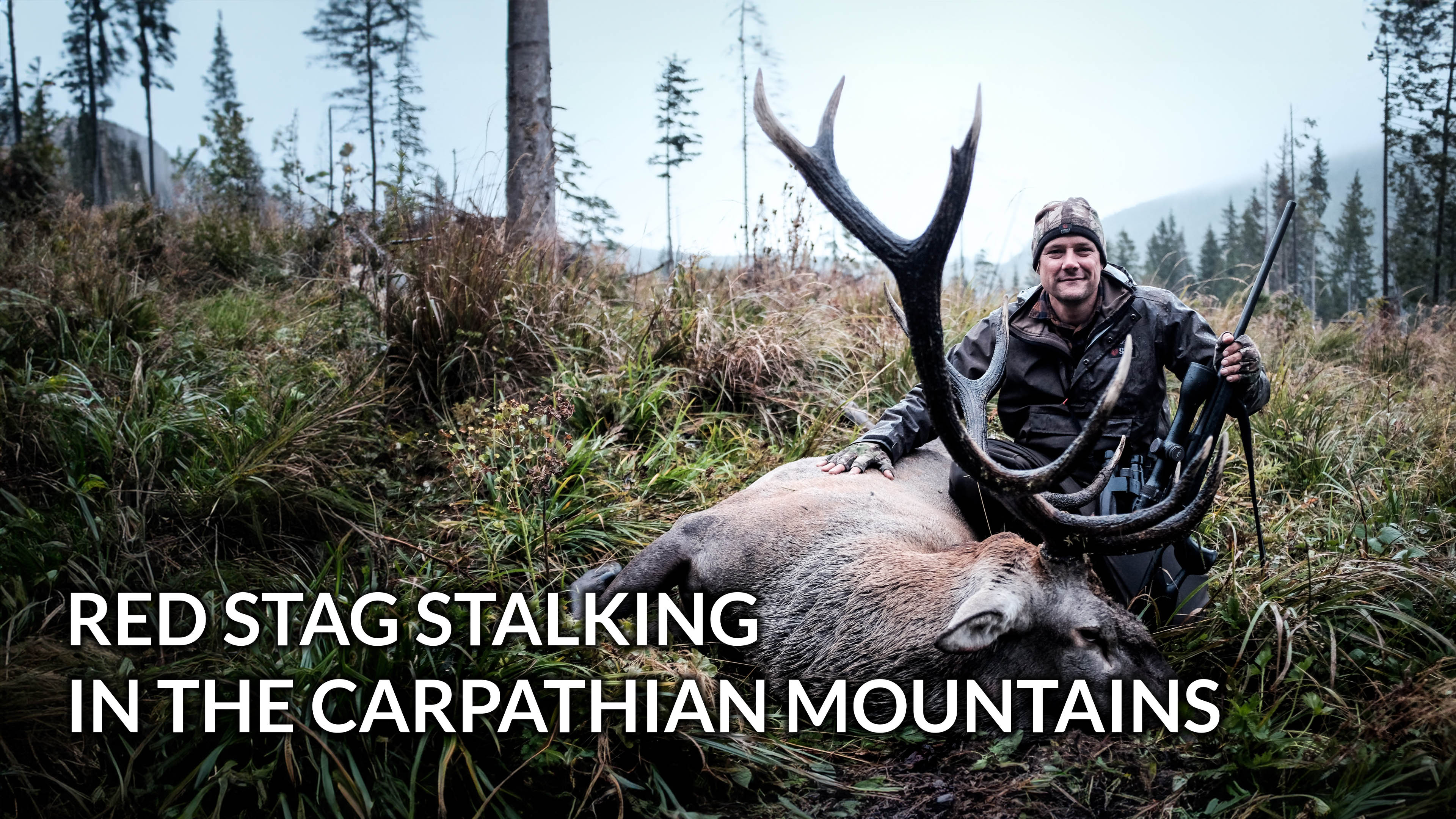 Red stag stalking in the karpathian mountains