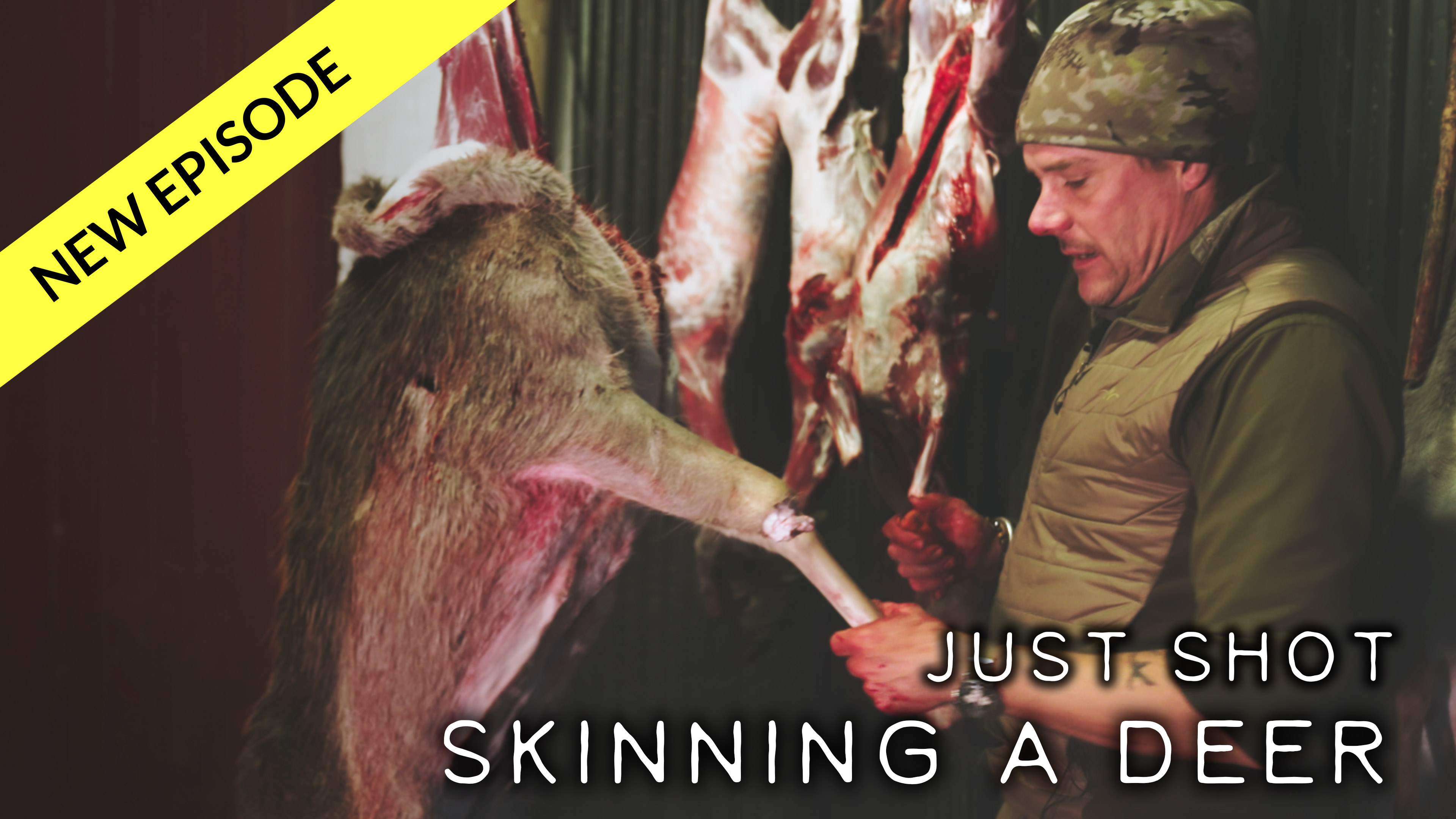 Skinning a deer - Just Shot Episode 03