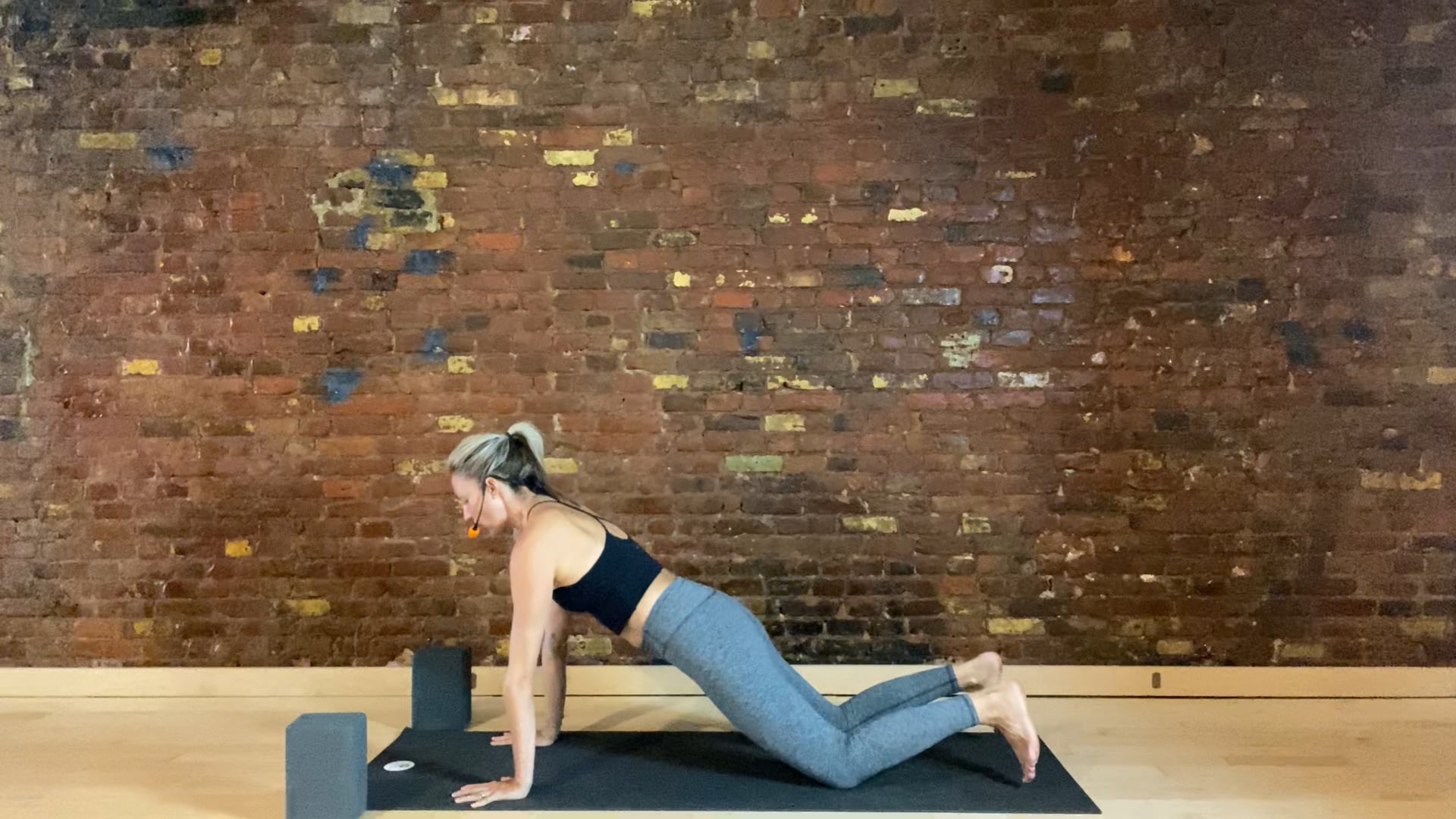 REFINE - PLANK + CATARUNGA > BRITT