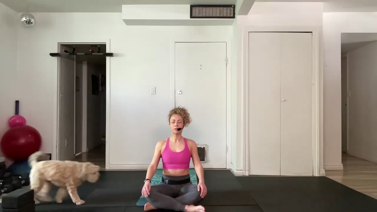 April 24, 2026 - Yoga Fusion