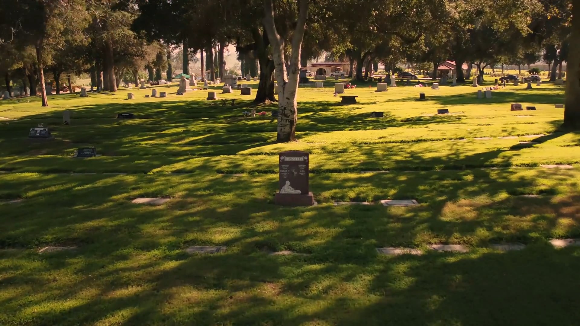 Kill, Die, Laugh | Graveyard