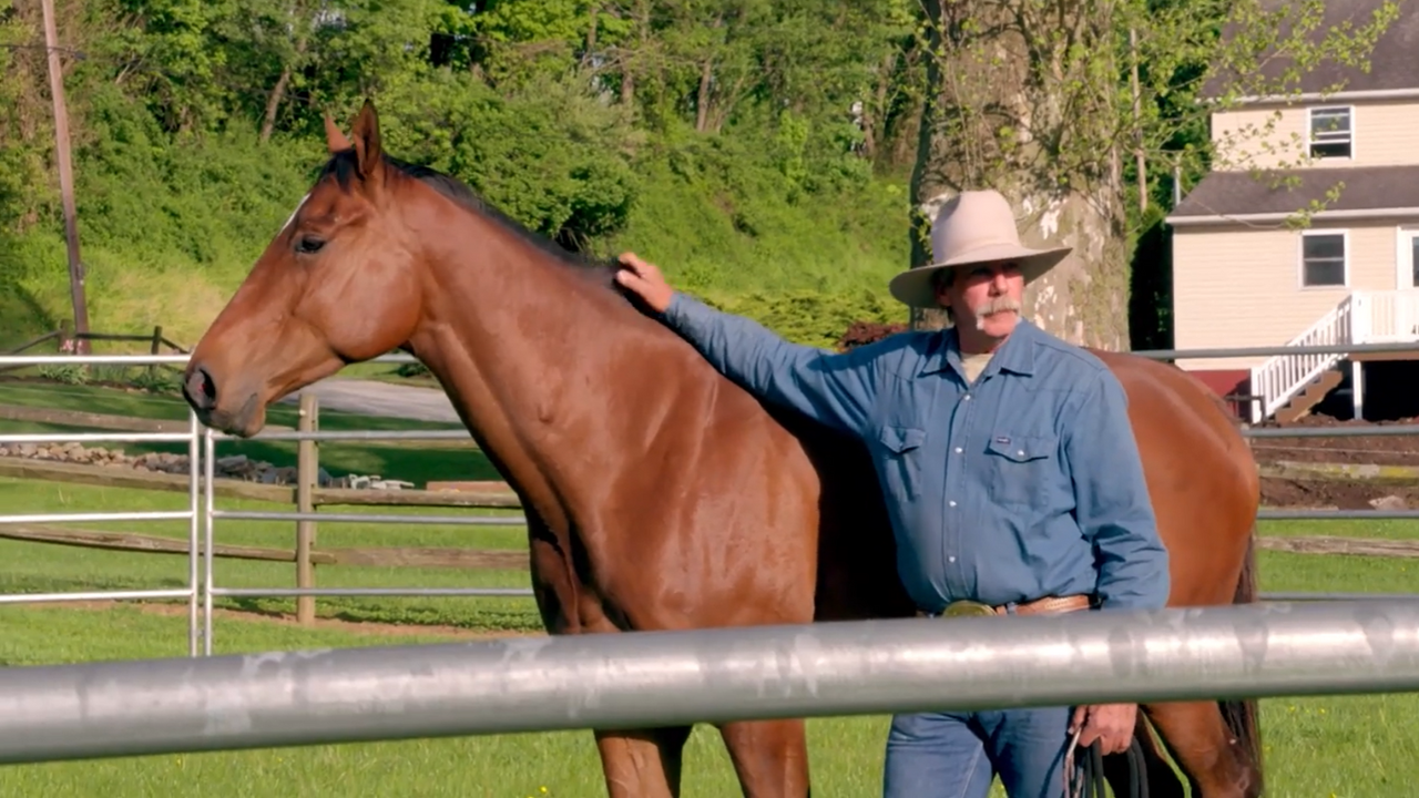 Back in the Saddle | EP10