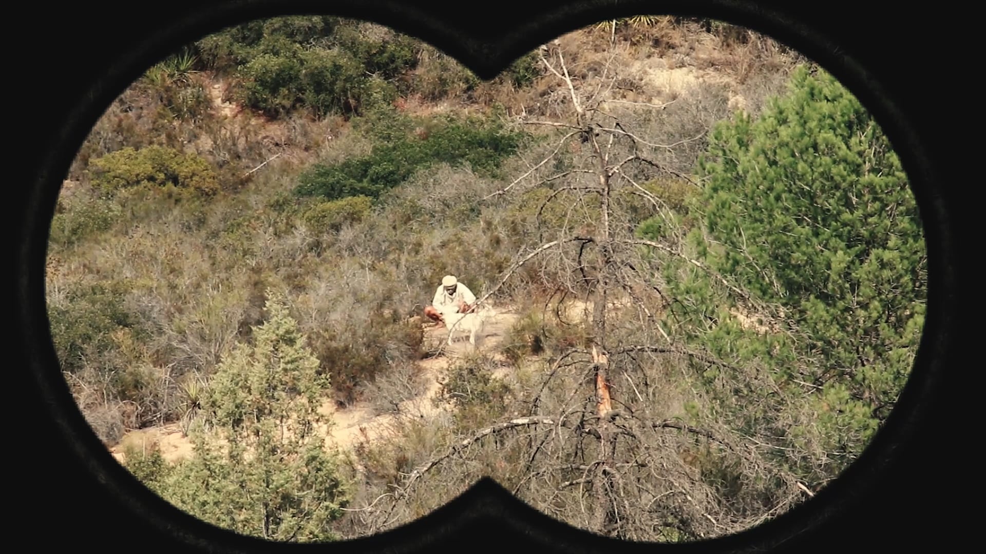 Kill, Die, Laugh | Goat