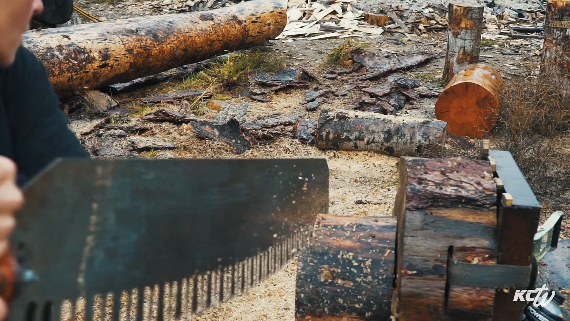 American Spirit Animal