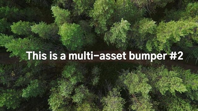 Multi-asset-2