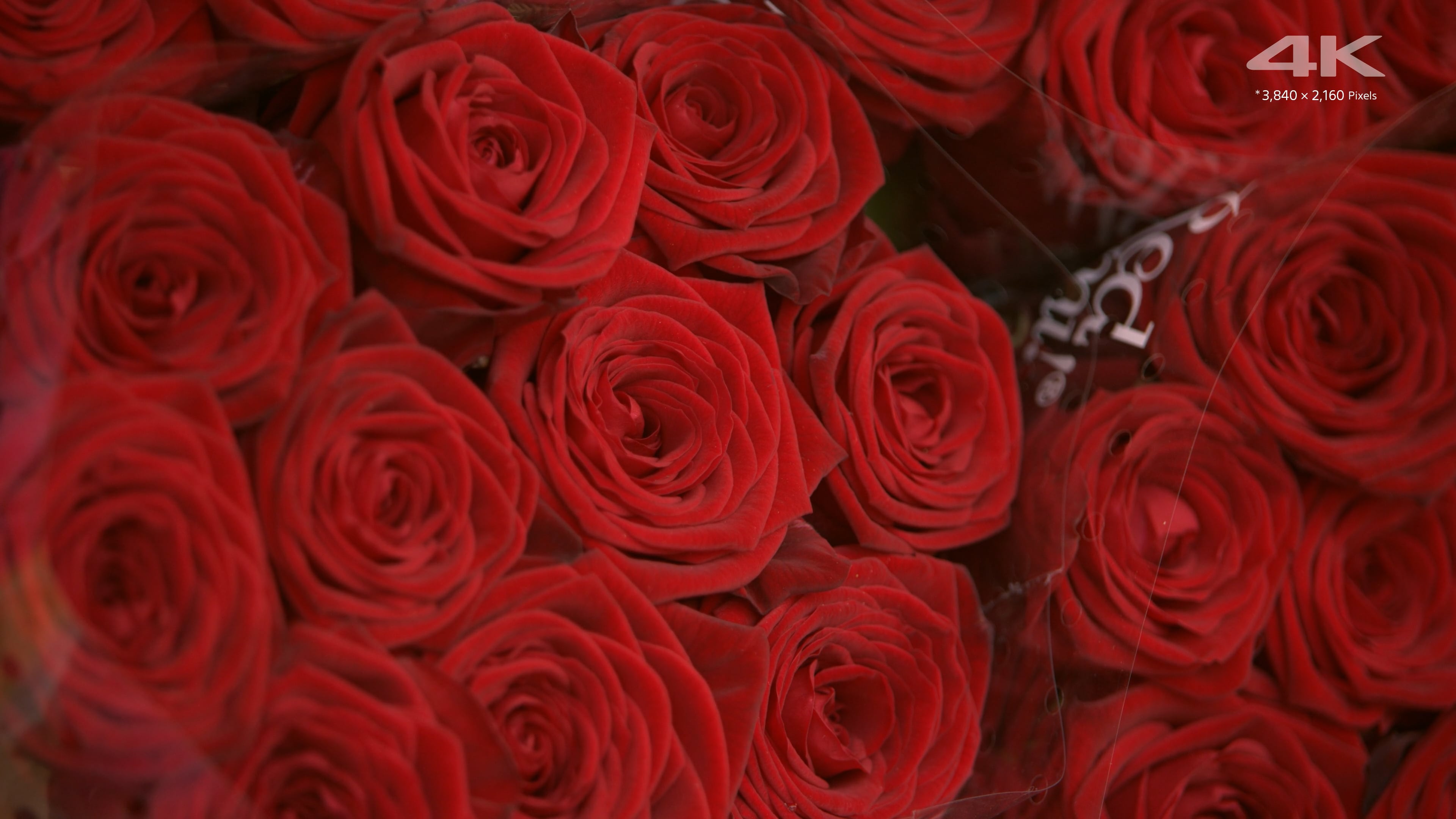 4k Vimeo upload test