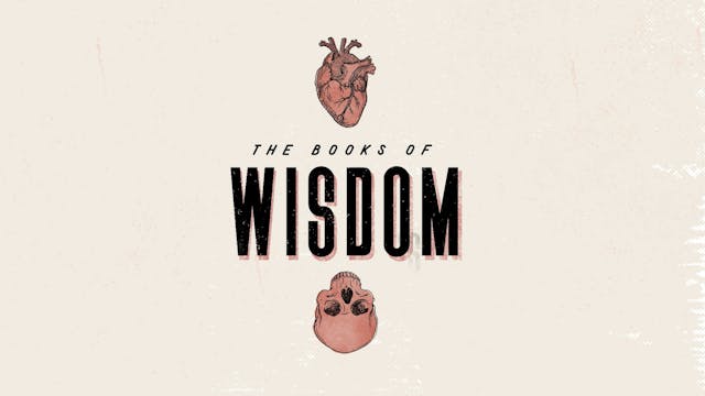 Wisdom - Bumper OTTID:3413913