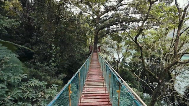 Test Video 1291 OTTID:568850