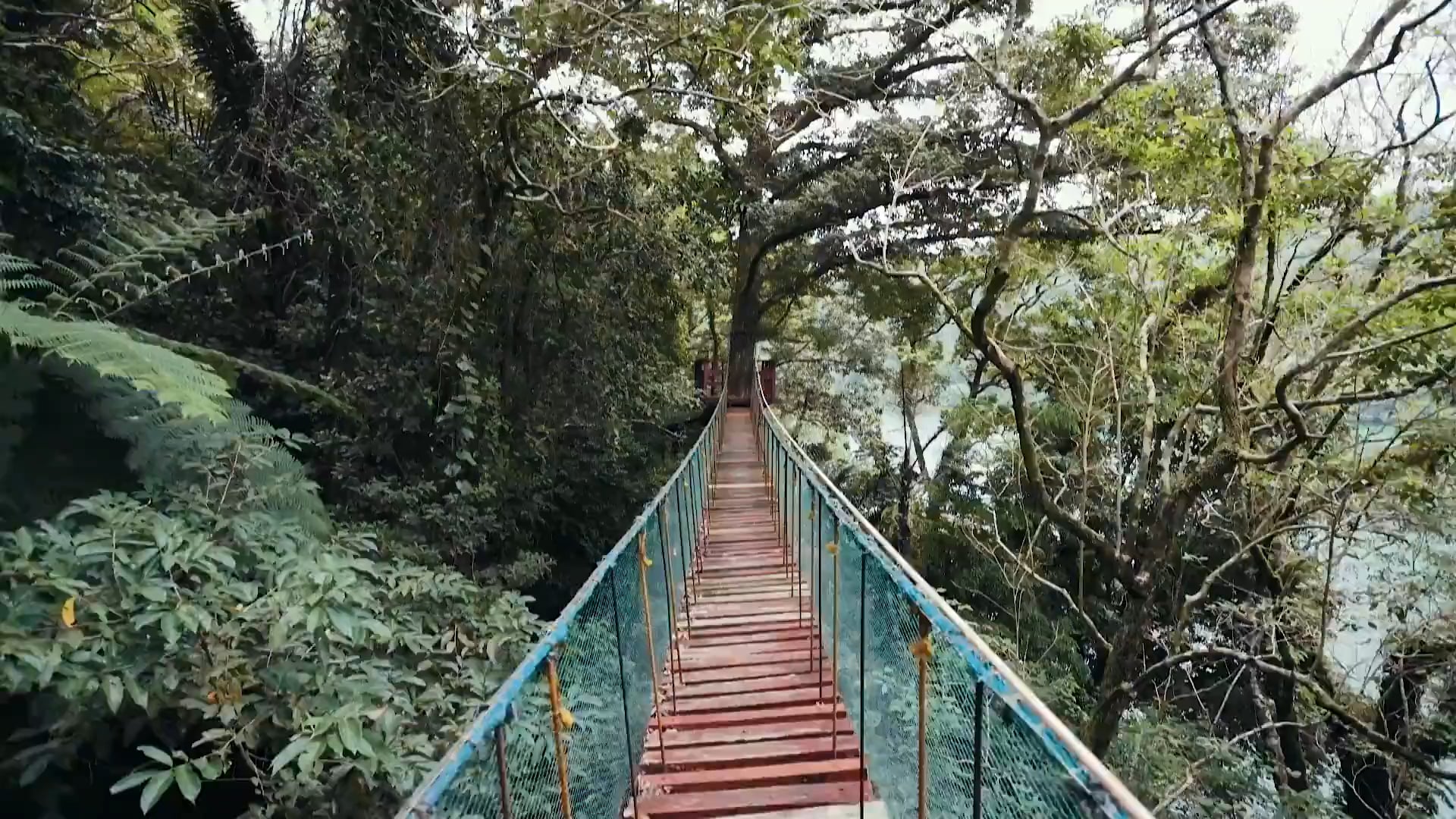 Test Video 1695