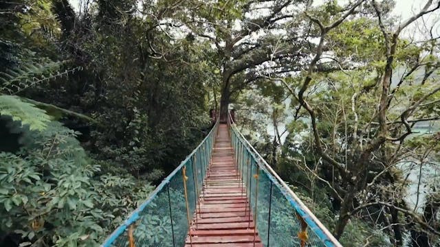 Test Video 0138