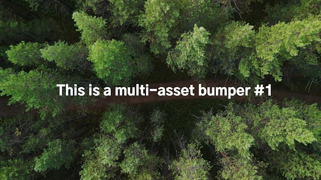 Multi-asset-1
