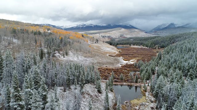 Video in TVOD Product 8