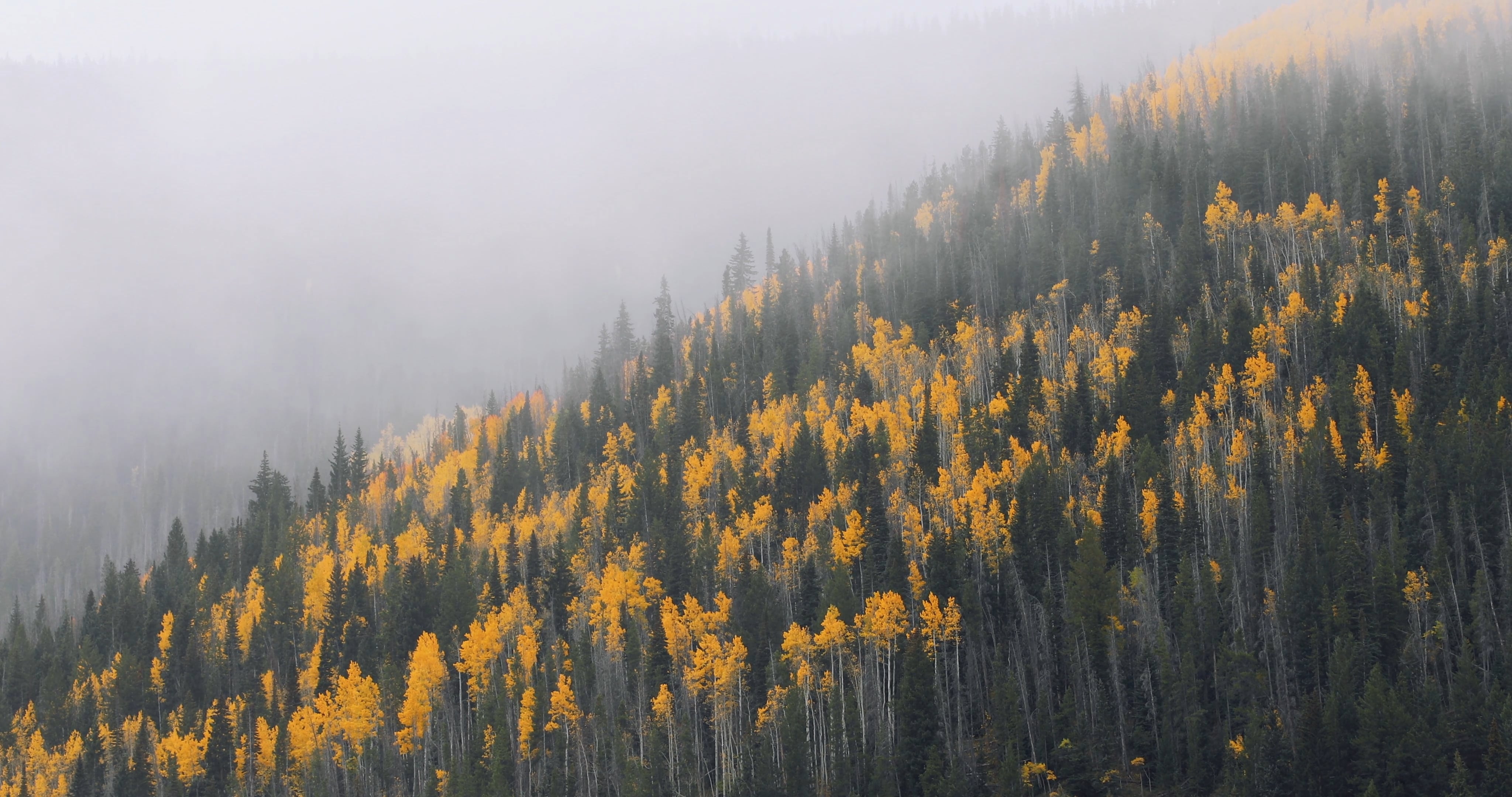 S2 - E3 - Utah (Canonical) 專為美國觀眾定製的線上影視娛樂平台 - Video With Chinese Characters