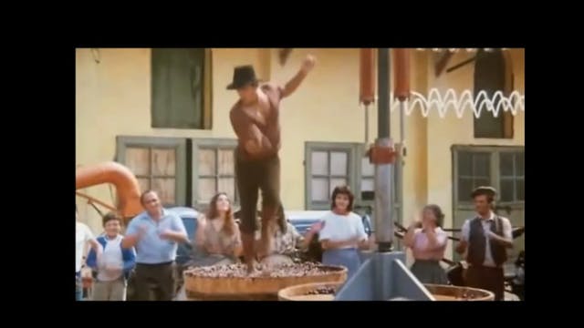 Bohdan test live - Part 8 OTTID:934424