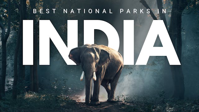 India National Parks OTTID:359126