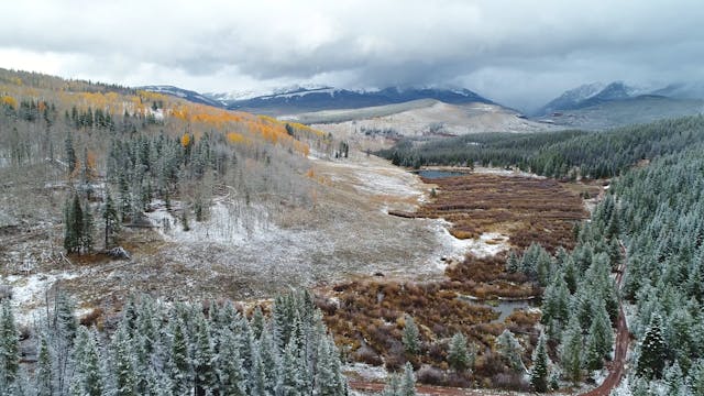 Video in TVOD Product 11