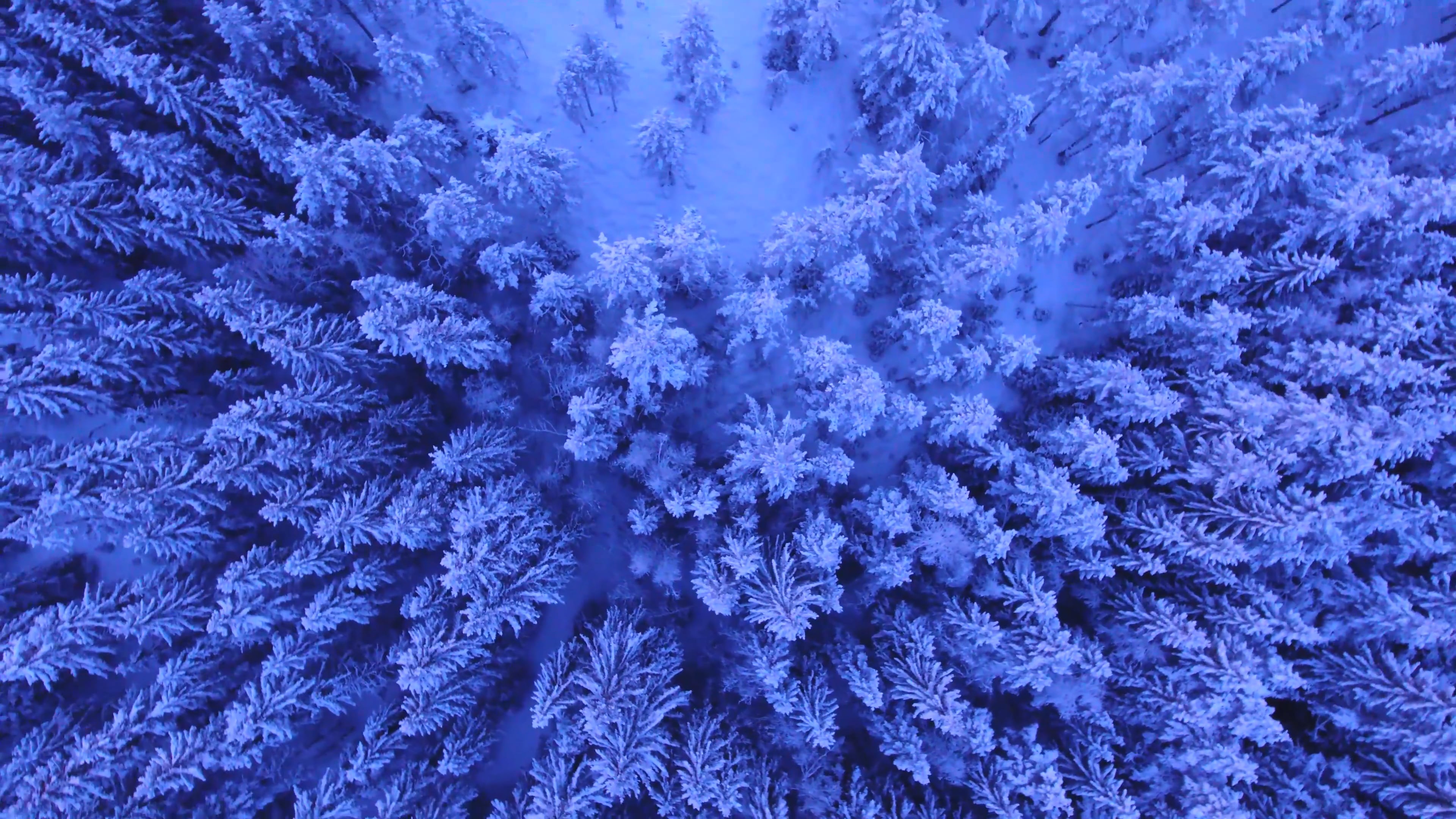 Driving Into Darkness OTTID:359110