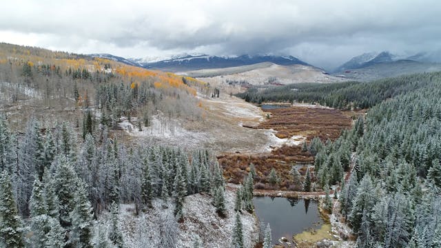 Video in TVOD Product 12