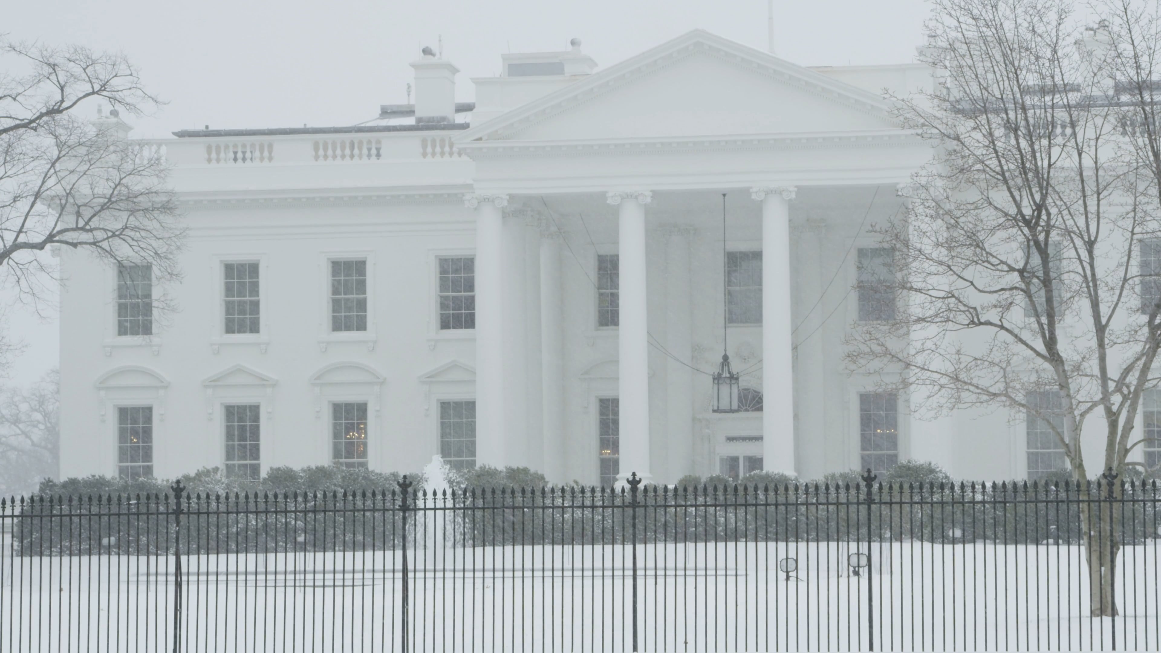 S2 - E5 - White House (Canonical) OTTID:658388