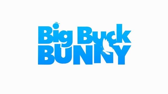 Big Buck Bunny Demo copy