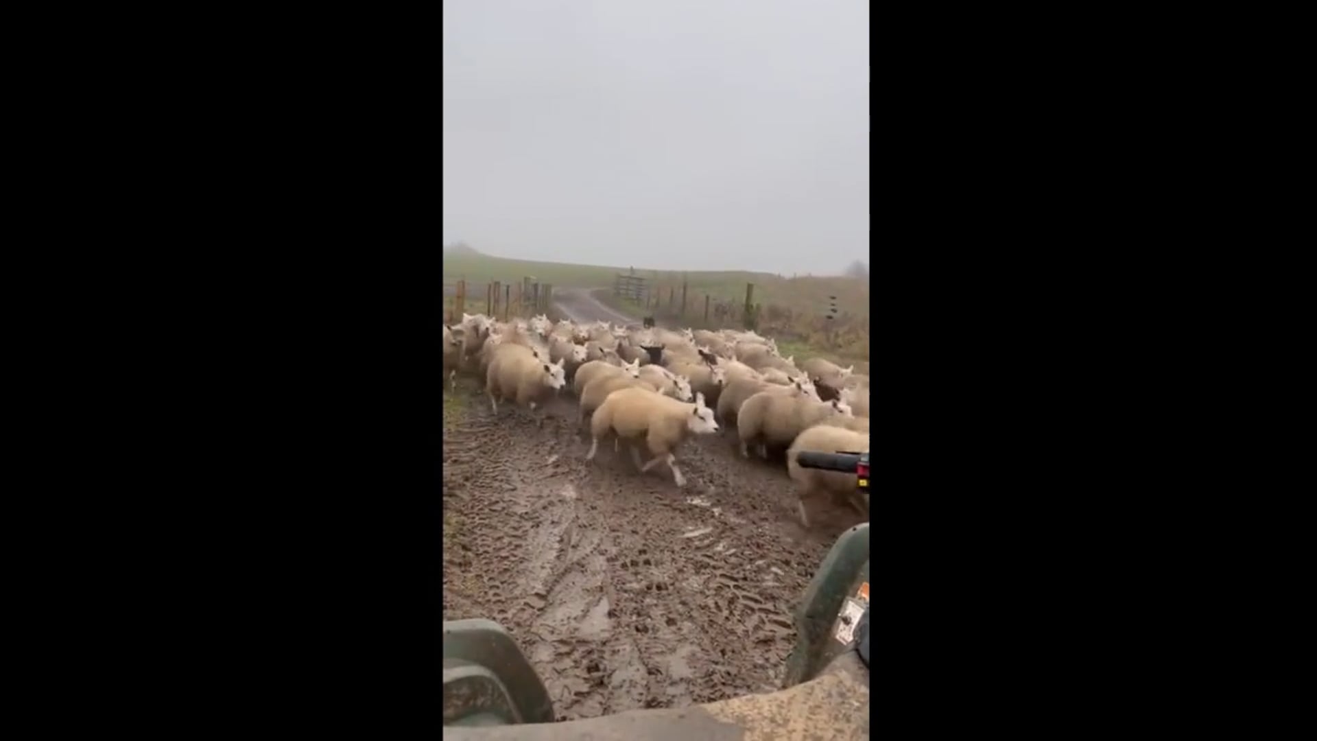 Live OTT 06-04 - Part 1