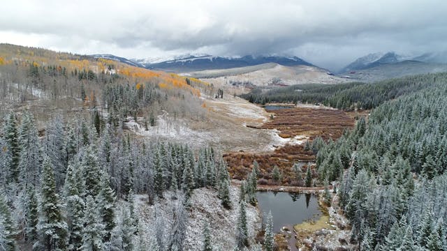 Video in TVOD Product 5