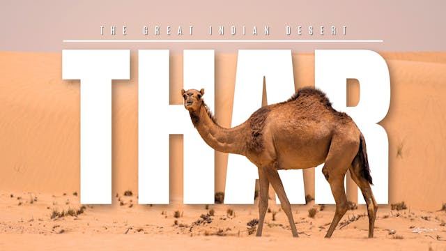 THAR - The Great Indian Desert OTTID:...